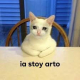 Avatar de persona